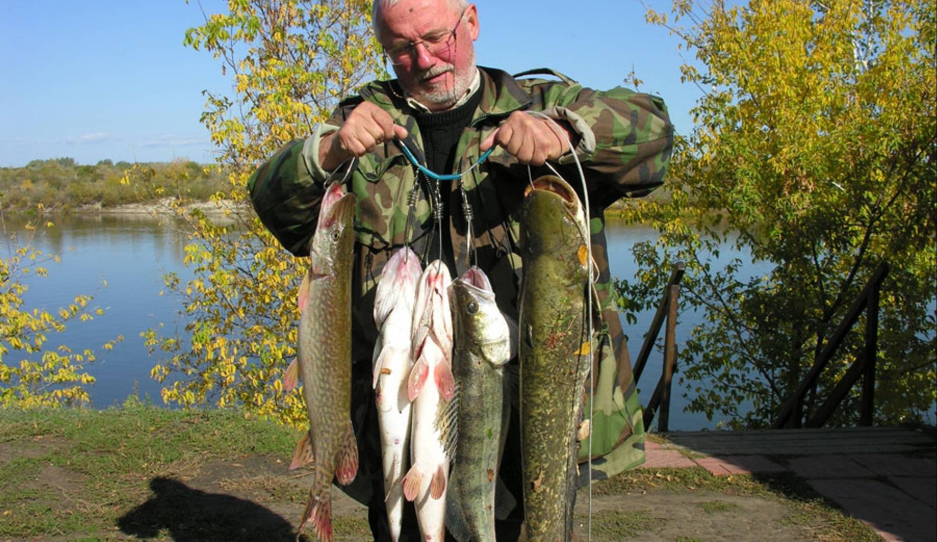 Лучшие рыболовные места волгоградской области