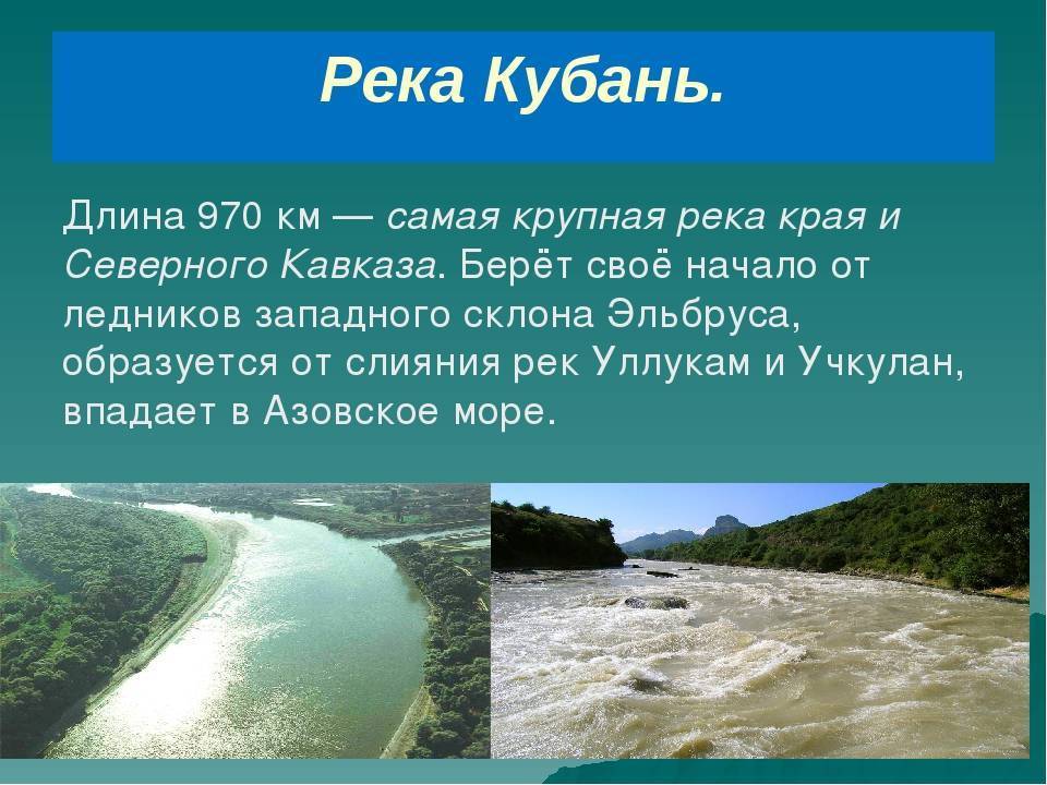 Река Кубань: описание. Исток, устье, растения и животные