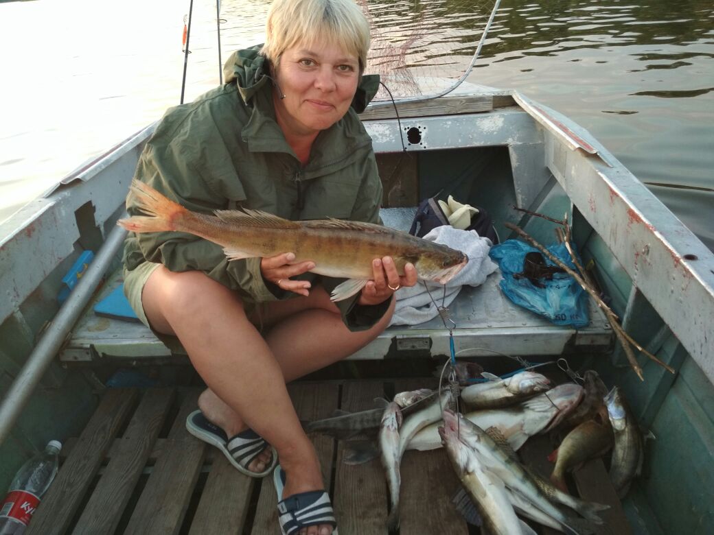 Вести с нижней волги