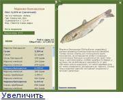 Судак (более 100 рецептов с фото) - рецепты с фотографиями на поварёнок.ру