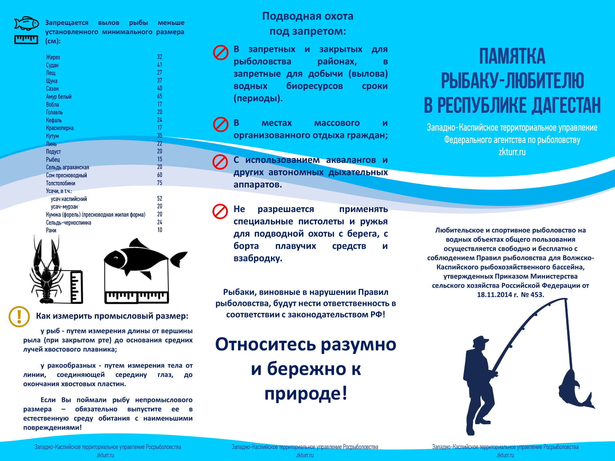 Правил рыболовства. Памятка для рыболовов любителей. Законодательство о рыболовстве. Памятка для рыбаков-любителей. С какого начинается запрет на рыбалку