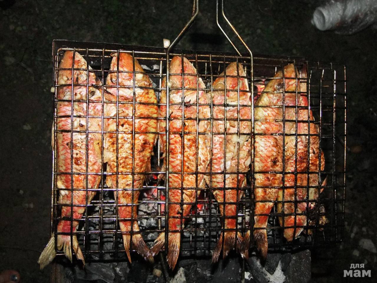 Вкусный маринад для рыбы на мангале, и как его правильно приготовить.