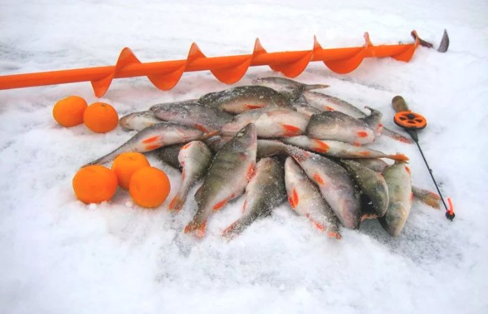 Аксессуары для зимней рыбалки – рыбалка онлайн