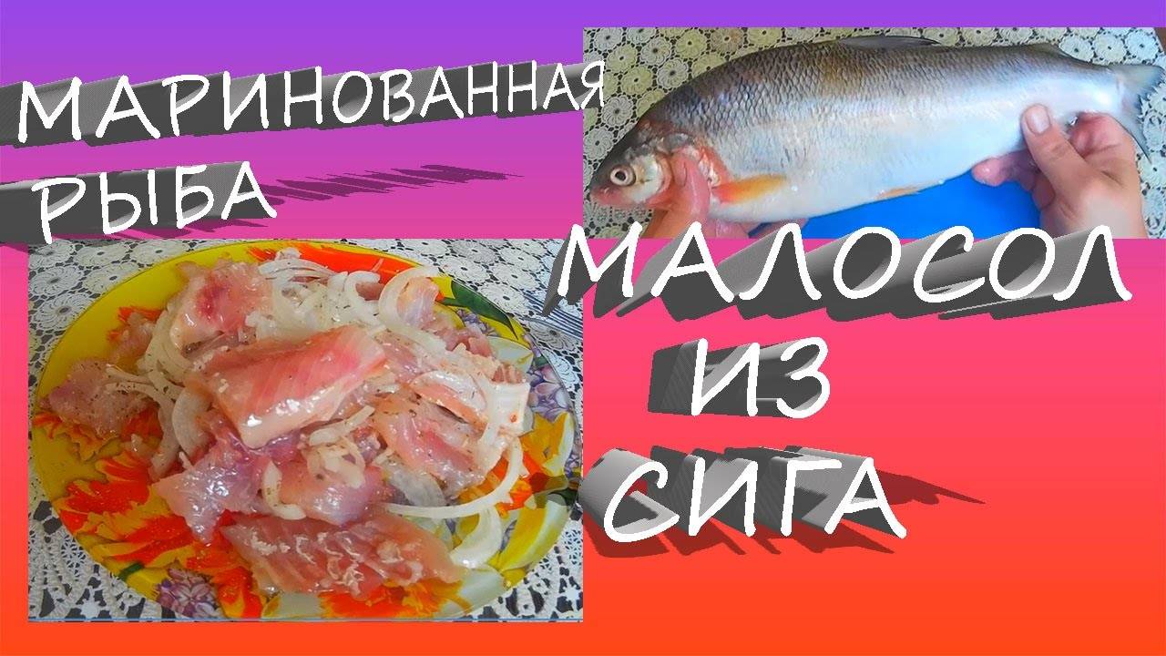 Как засолить красную рыбу в домашних условиях по пошаговому рецепту - кушаем вкусно
