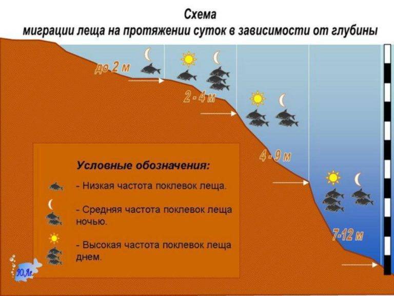 Как ловить леща весной на фидер