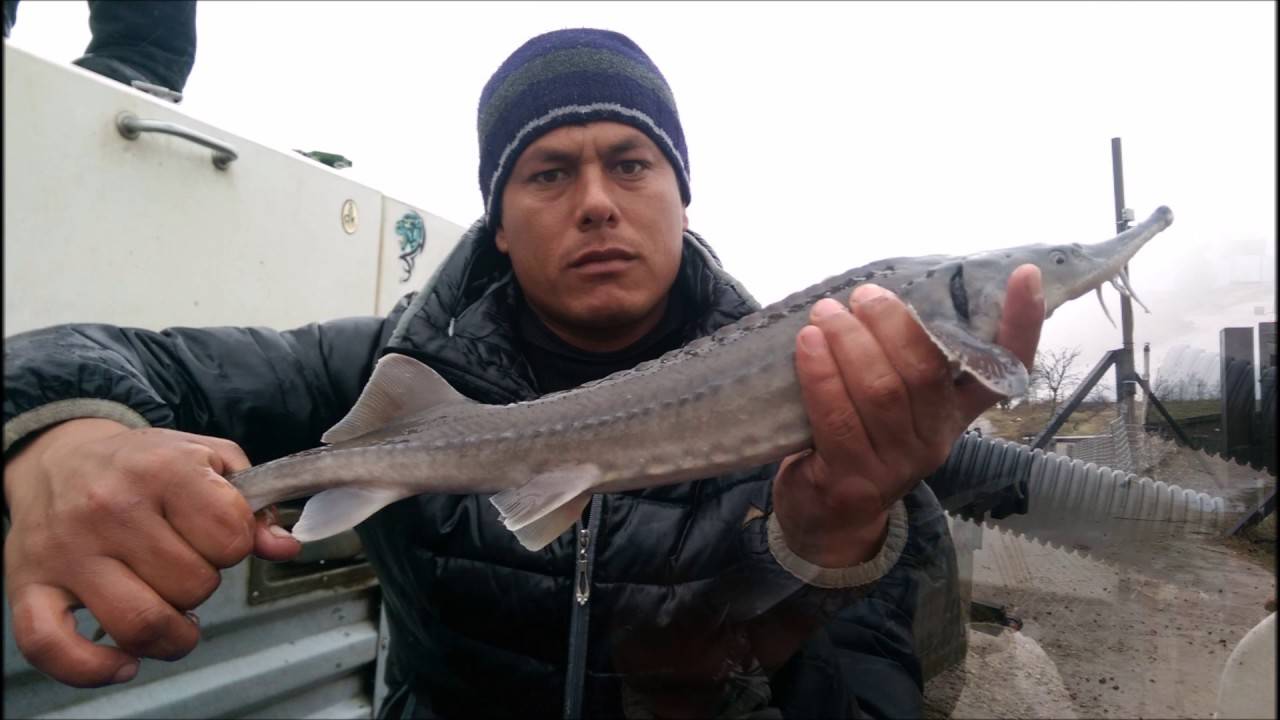 Бесплатная рыбалка в подмосковье, карты водоемов