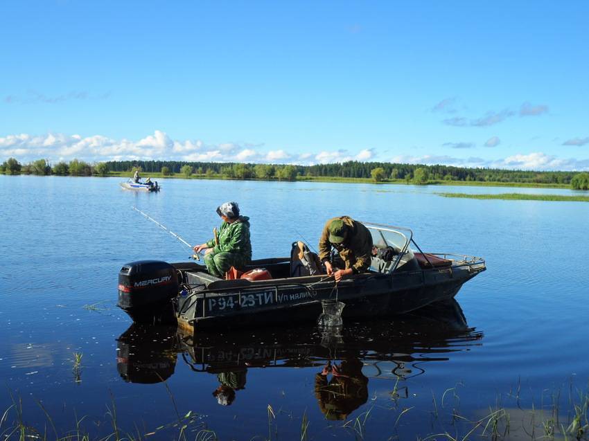 Поездка на обь (хмао — югра) – отчеты о рыбалке | рыбак korop_gleb