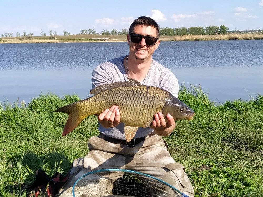 Рыбалка в ставропольском крае: обзор платных и бесплатных мест, отзывы рыбаков