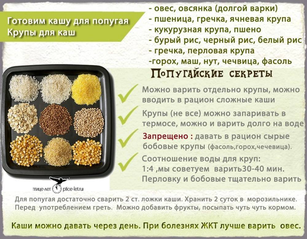 Как запарить пшеницу для рыбалки: способы приготовить, с чем варить в кастрюле
