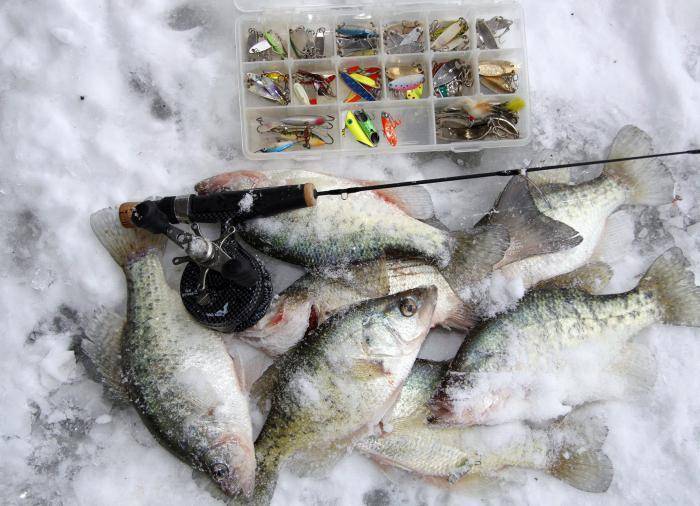 Рыбалка в астраханской области 2022: лучшие места и способы ловли