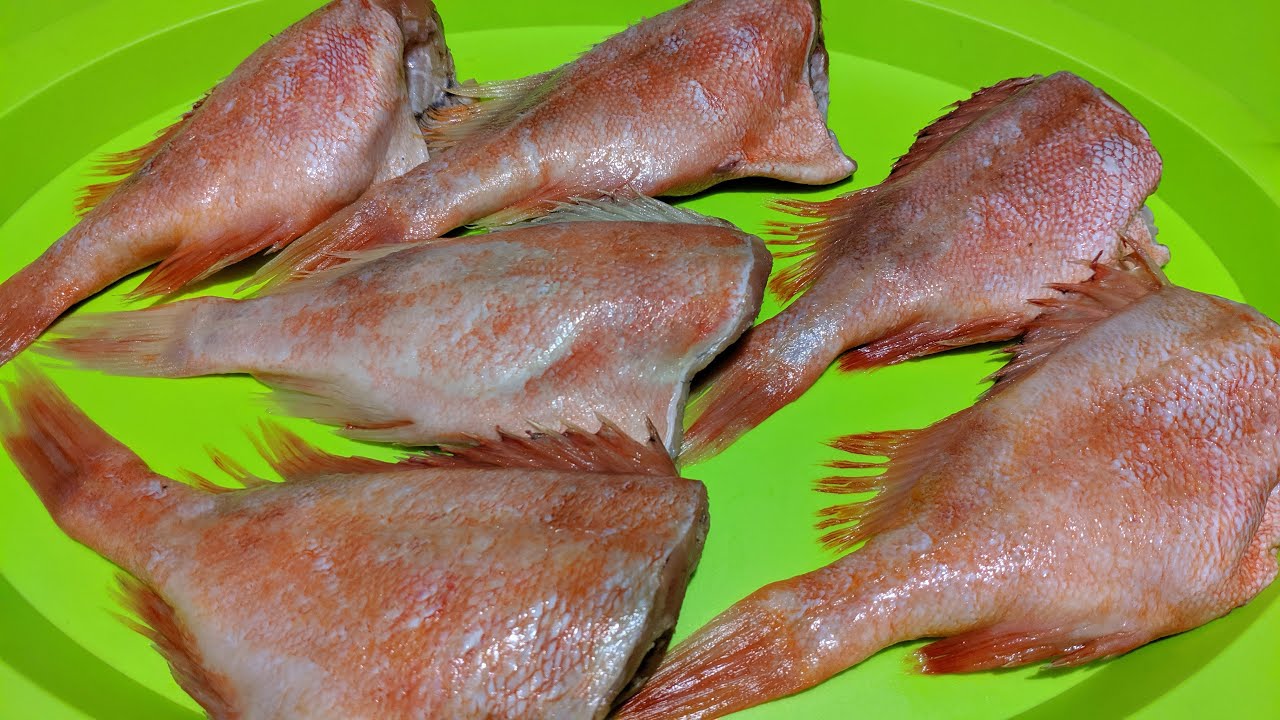 Рецепт морской окунь тушеный с овощами. калорийность, химический состав и пищевая ценность.