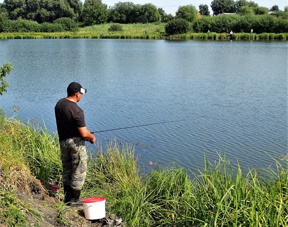 Рыбалка в ульяновской области бесплатно