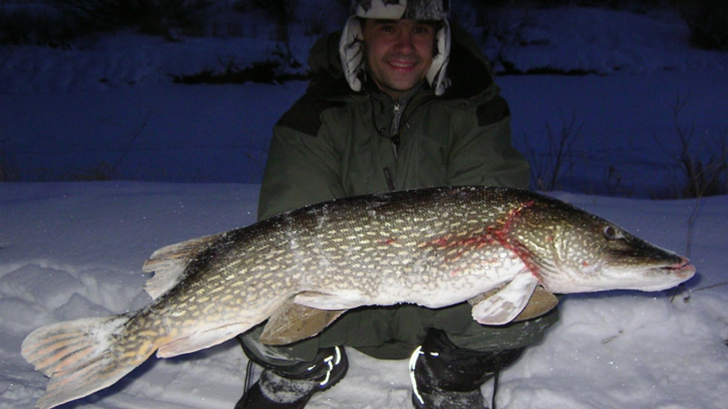 Зимняя рыбалка. топ-10 самых крупных трофеев