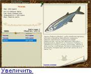 Как засолить и завялить чехонь, хранение вяленой рыбы