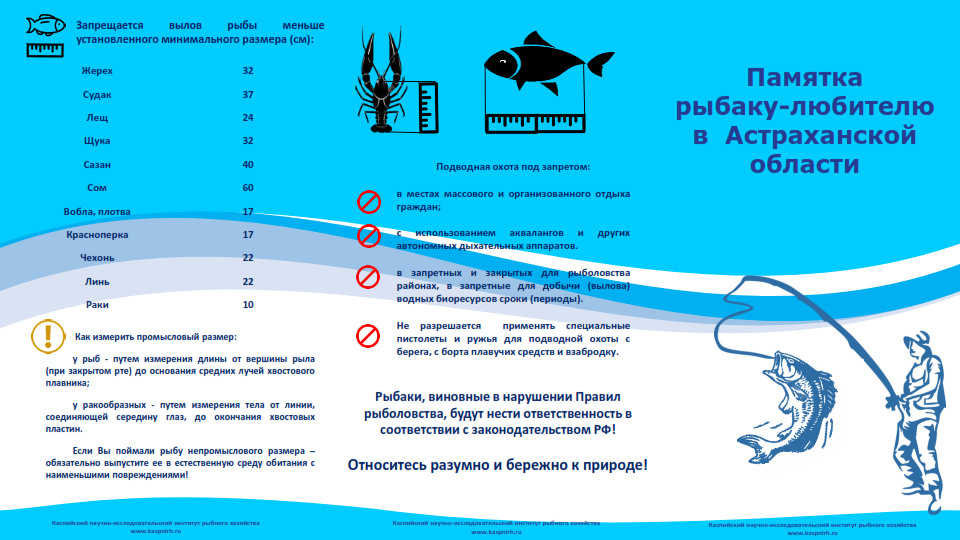 Запрет на рыбалку 2020