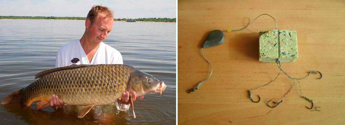 Рыбалка на дону: видео, какая рыба ловится в августе, сентябре и другие месяцы