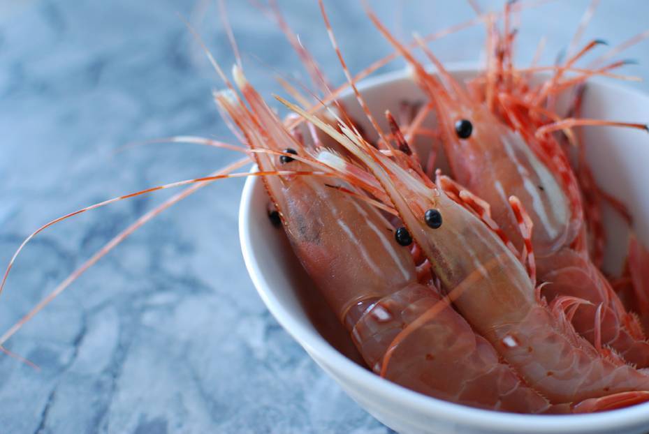 Ловля креветок – что нужно знать о морском деликатесе