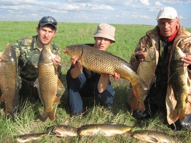 Рыбалка в самарской области: лучшие места на карте топ-10
