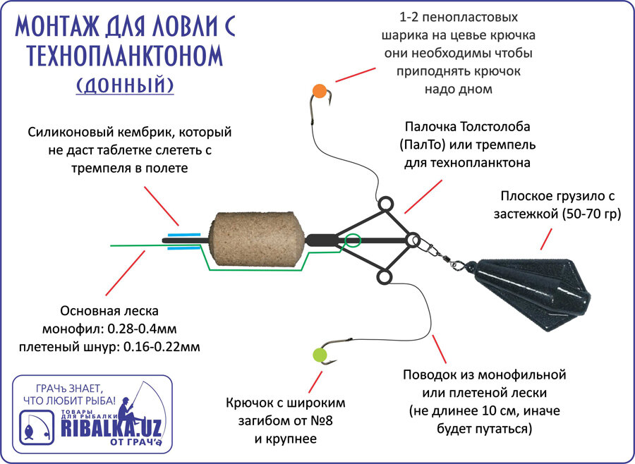 Толстолобик - рыба очень вкусная и полезная. ловля толстолобика на технопланктон :: syl.ru