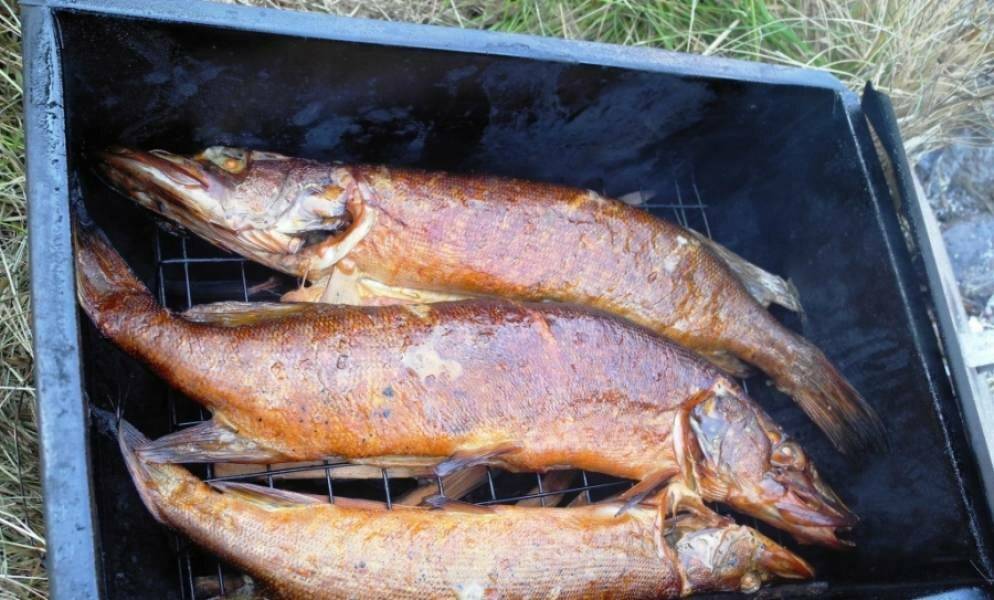 Щука горячего и холодного копчения: рецепты приготовления