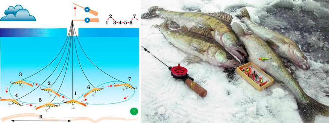 Зимняя рыбалка на окуня: приманки и снасти, тактика ловли