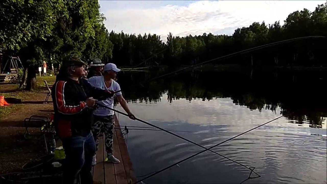 Крх клевое место лосиный остров