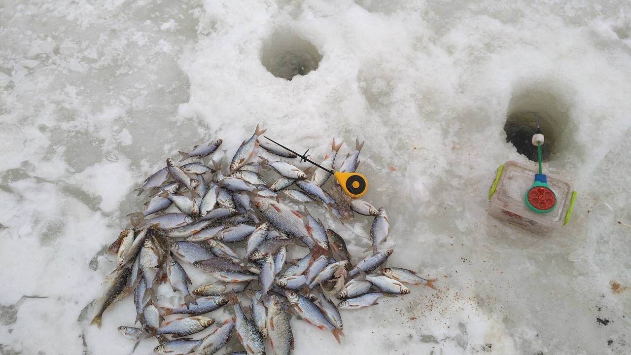 Плотва зимой на мормышку. Зимняя рыбалка на плотву на безмотылку. Плотва на безмотылку в глухозимье. Безмотылка на плотву в глухозимье. Мормышки для плотвы в глухозимье.