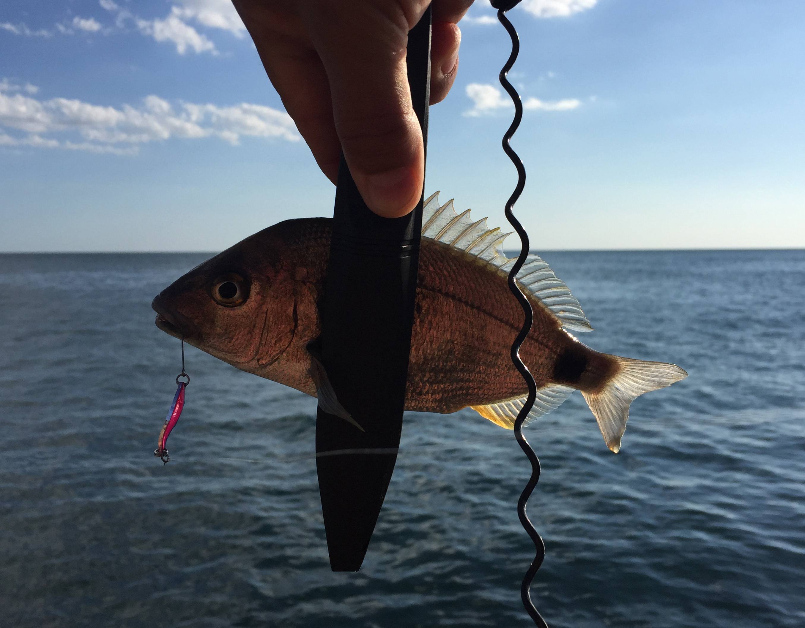 Рыбалка на реке кубань: рыболовные места, какие рыбы водятся