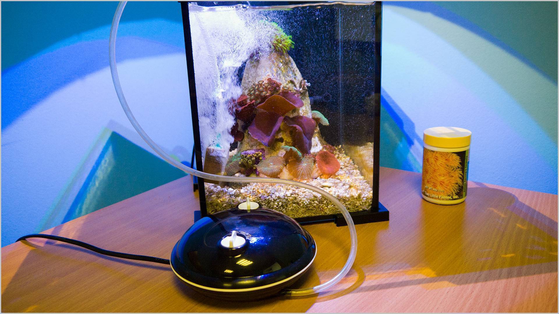 Обзор моделей бесшумных компрессоров для аквариума