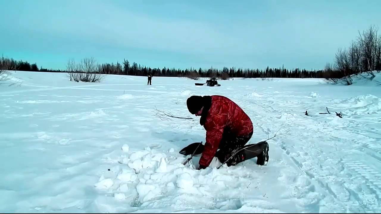 Рыбалка на севере сибири зимой: видео, особенности ловли, какая рыба водится