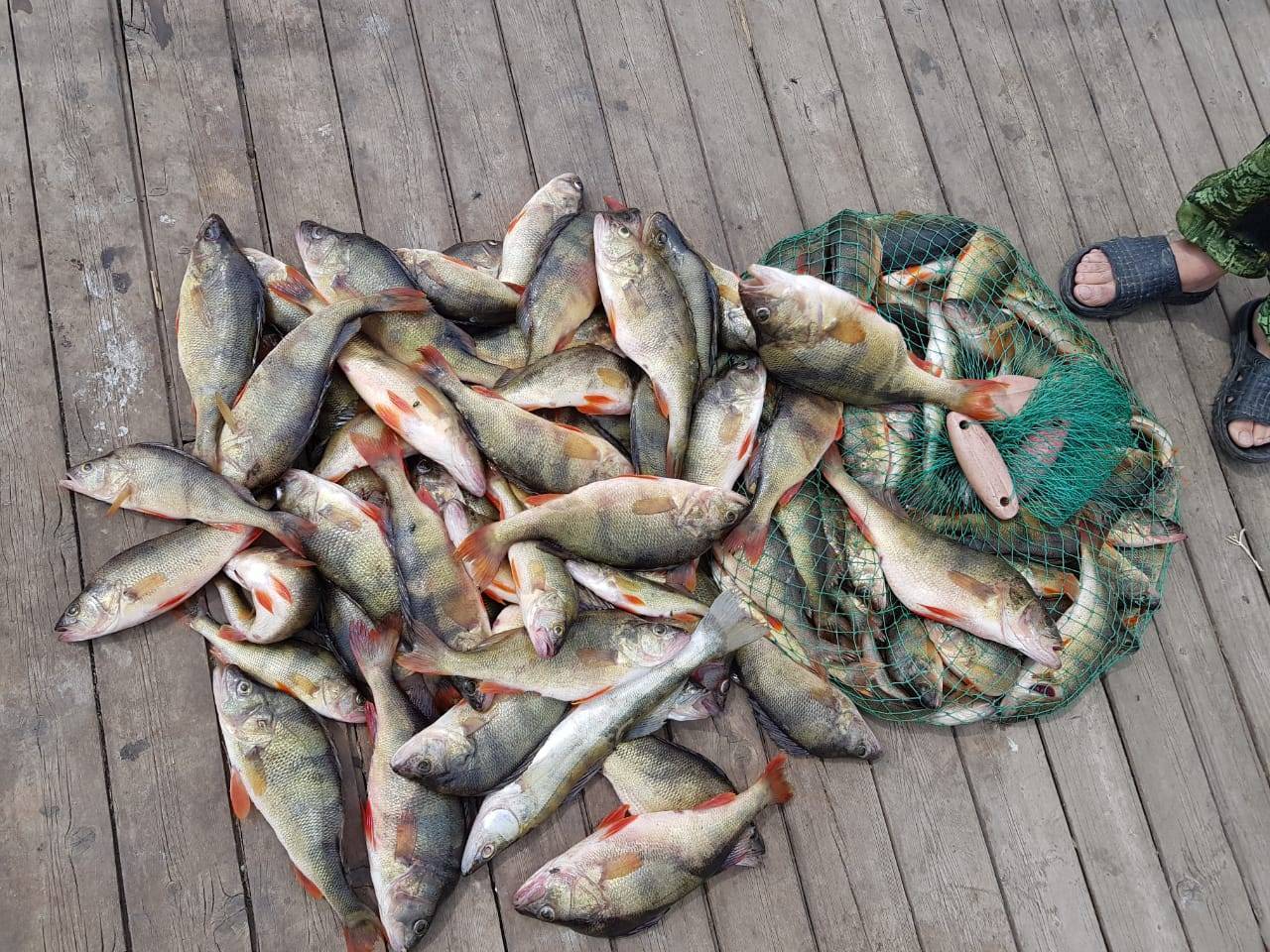 Самые рыбные места в калужской области и калуге, где стоит ловить рыбу