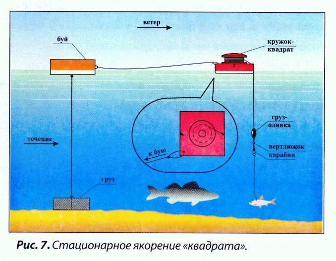 Схема кружков для ловли щуки оснастка