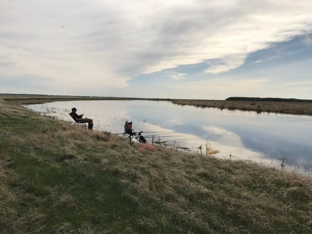 Где порыбачить в новосибирске и новосибирской области в 2019 году