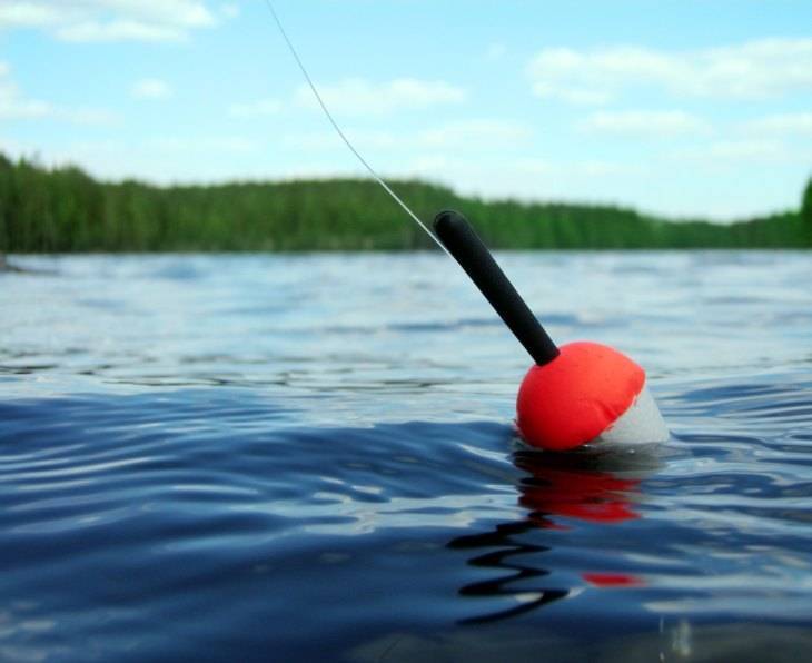 Рыбалка на поплавочную удочку