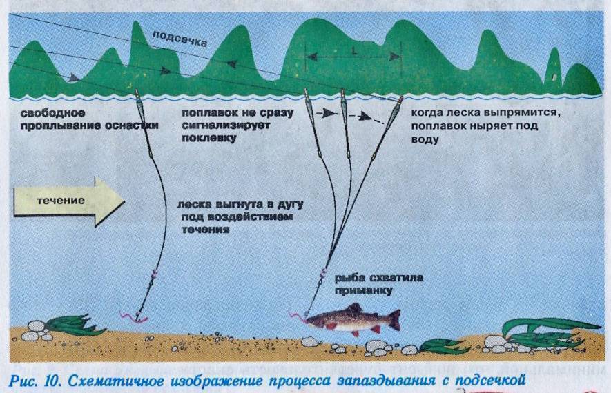 Рыбалка поплавочной удочкой от а до я - от оснастки до поиска места и процесса ловли