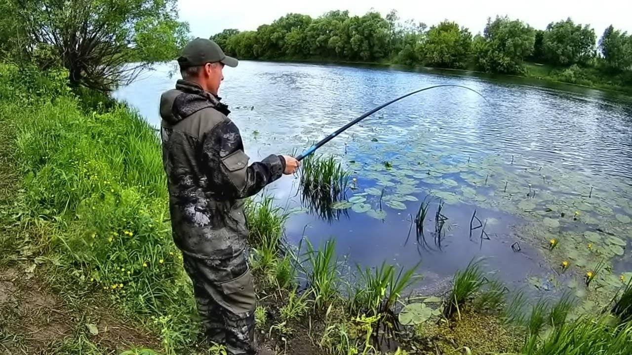 Ловля карася: как ловить, если он не клюет, техника рыбалки на удочку