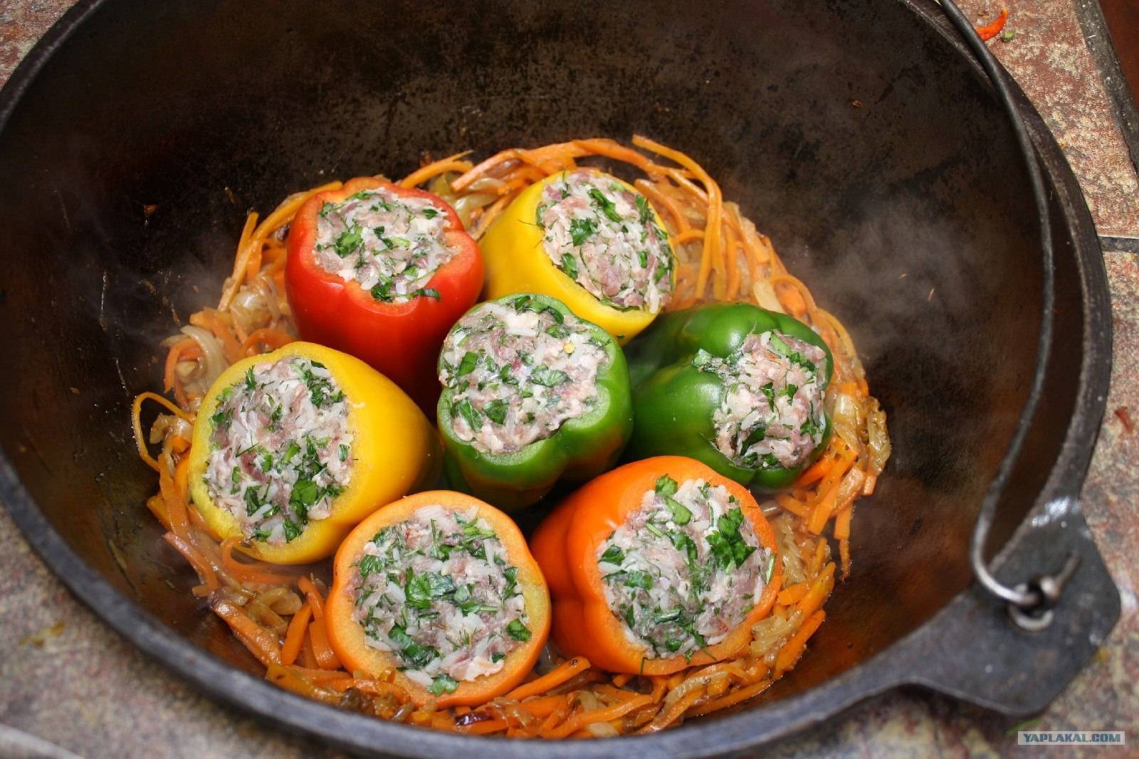 Фаршированные перцы рецепт в кастрюле с томатной пастой пошагово фото