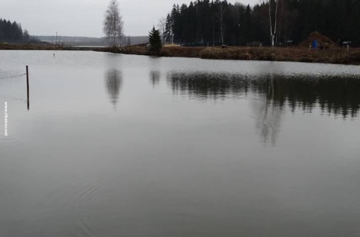 Денятинский карась. рыбалка во владимирской области.