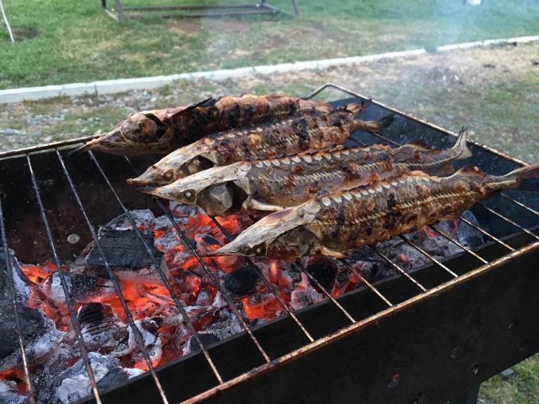 Шашлык из щуки на мангале рецепт с фото пошагово