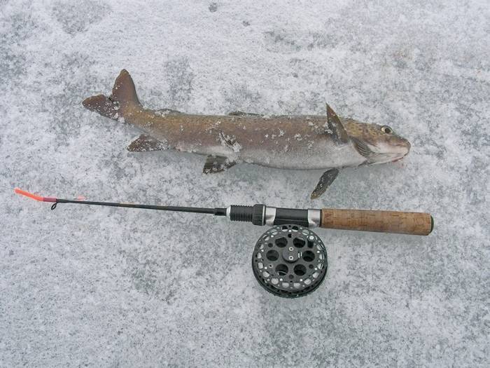 Какие снасти нужны для зимней рыбалки: что взять с собой [2019]