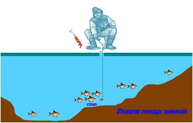 Рыбалка по первому льду: на мормышку, блеснение и поплавочная снасть