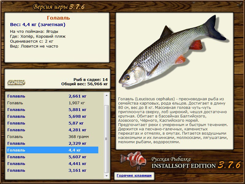 Рыбалка в брестской области: общая информация