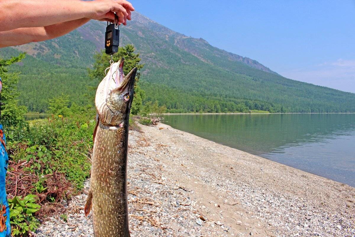 Рыбалка на байкале — об озере, где и как ловить, фото и видео