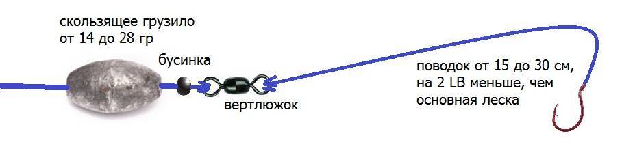 Донная снасть на форель: монтаж и оснастка своими руками