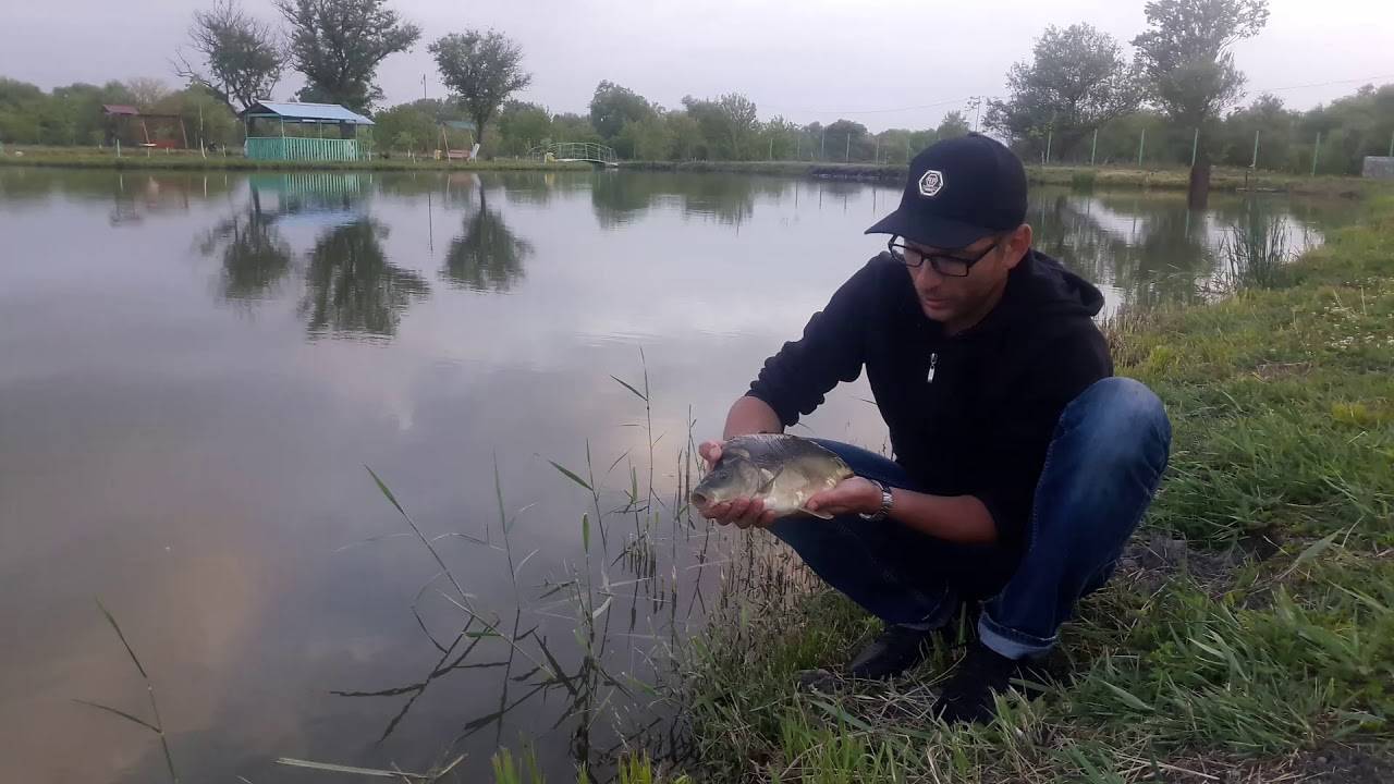 Рыбалка в ставропольском крае: обзор платных и бесплатных мест, отзывы рыбаков