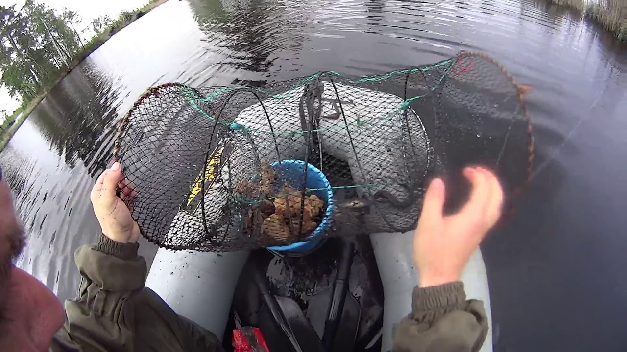 Советы опытных рыбаков по ловле вьюна - читайте на сatcher.fish