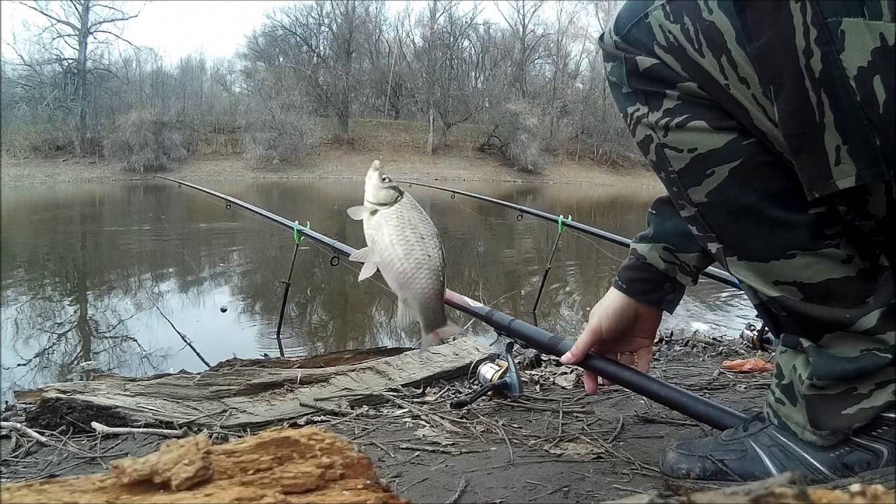 Рыбалка на карася в апреле