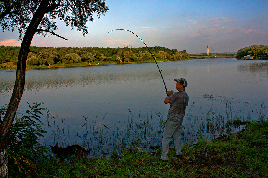 Тамбовская область: весенне-летний нерестовый запрет на рыбалку 2020 года