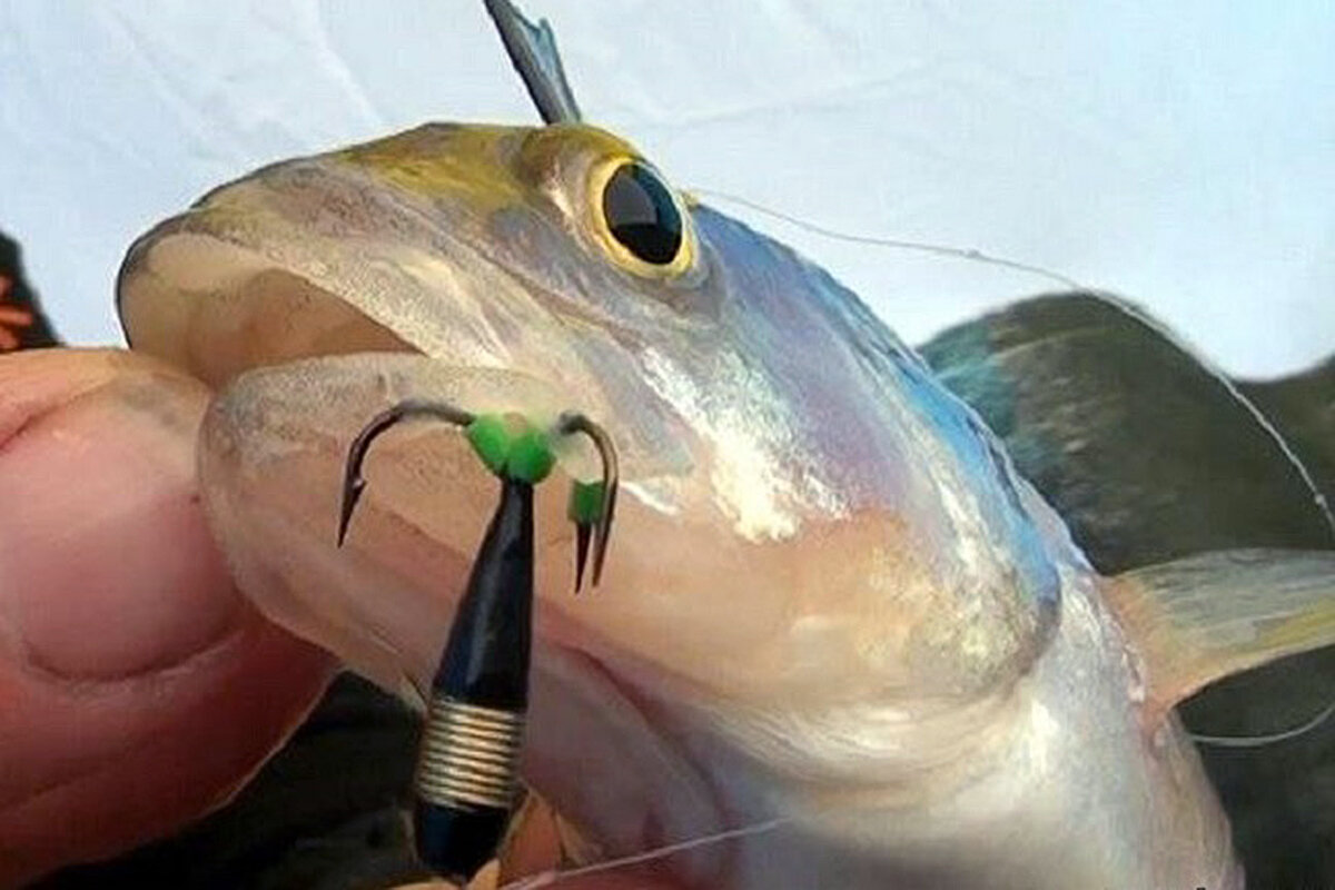 Секреты и тонкости ловли на чертика - читайте на сatcher.fish