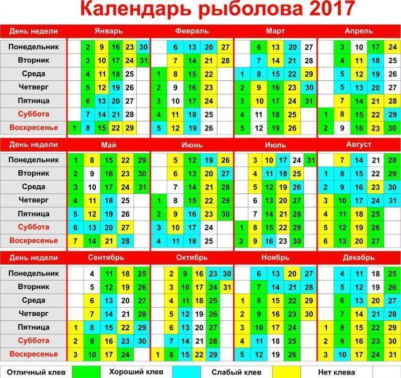 12 лучших рыболовных мест хабаровского края – рыбалке.нет